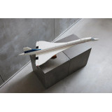 LEGO Icons 10318 - Concorde