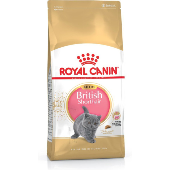 Royal Canin FBN British Shorthair Kitten - sucha karma dla kociąt - 2 kg