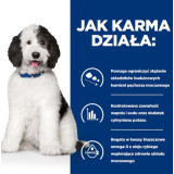 HILL'S PD Canine Urinary Care C/D 370g dla psa